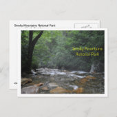 Smoky Mountain Stream Briefkaart (Voorkant / Achterkant)
