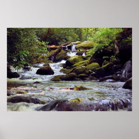 Smoky Mountain Stream - GSMNP Poster (Voorkant)
