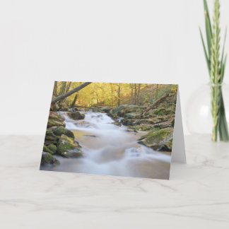 Smoky Mountain Stream Kaart