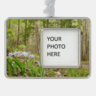 Smoky Mountain Trail in Spring Verzilverd Kader Ornament