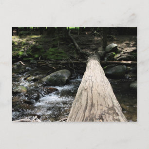 Smoky Mountains Briefkaart