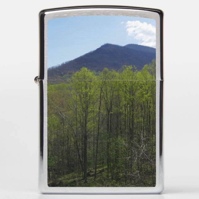 Smoky Mountains in Spring Landscape (Voorkant)
