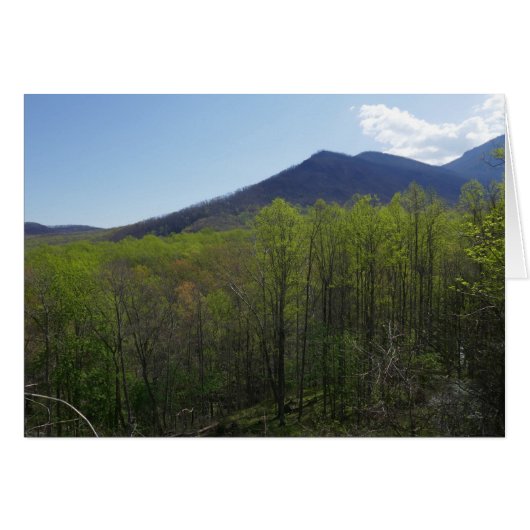 Smoky Mountains in Spring Landscape (Voorkant Horizontaal)