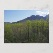 Smoky Mountains in Spring Landscape Briefkaart (Voorkant)