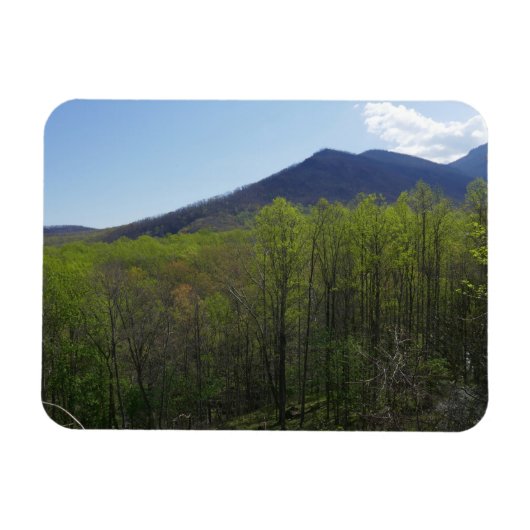 Smoky Mountains in Spring Landscape Magneet (Horizontaal)