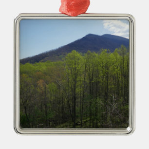 Smoky Mountains in Spring Landscape Metalen Ornament