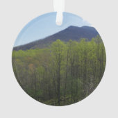 Smoky Mountains in Spring Landscape Ornament (achterkant)