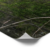 Smoky Mountains in Spring Landscape Poster (Hoek)