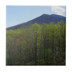 Smoky Mountains in Spring Landscape Tegeltje