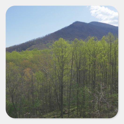Smoky Mountains in Spring Landscape Vierkante Sticker (Voorkant)