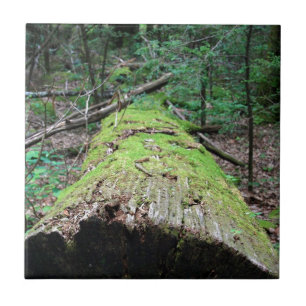 Smoky Mountains Tegeltje