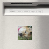 Smoochie Magneet (Insitu (Vaatwasser))