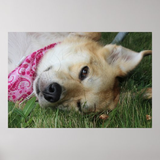 Smoochie Poster (Voorkant)