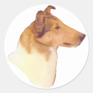 Smooth Collie Gifts Ronde Sticker