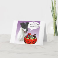 Smooth Fox Terrier Halloween Snoep
