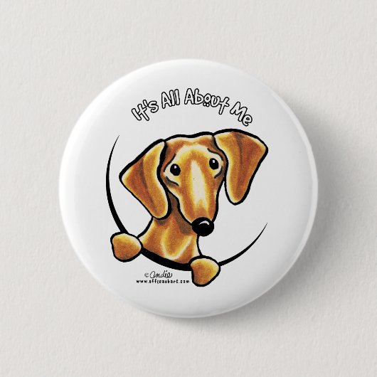 Smooth Red Dachshund heeft alles over mij Ronde Button 5,7 Cm (Voorkant)