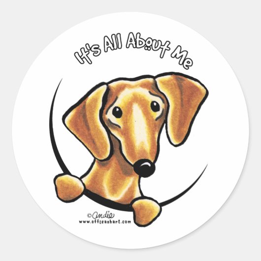 Smooth Red Dachshund heeft alles over mij Ronde Sticker (Voorkant)