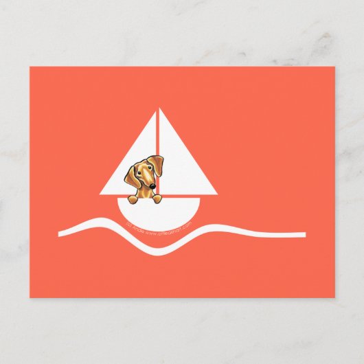 Smooth Red Dachshund Sailboat Red Briefkaart (Voorkant)