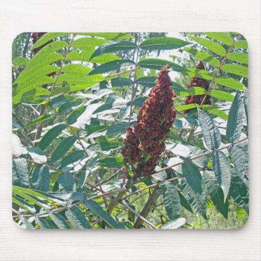 Smooth Sumac Berries Mousepad Muismat (Voorkant)