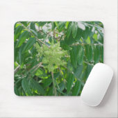 Smooth Sumac Flowers Mousepad Muismat (Met muis)