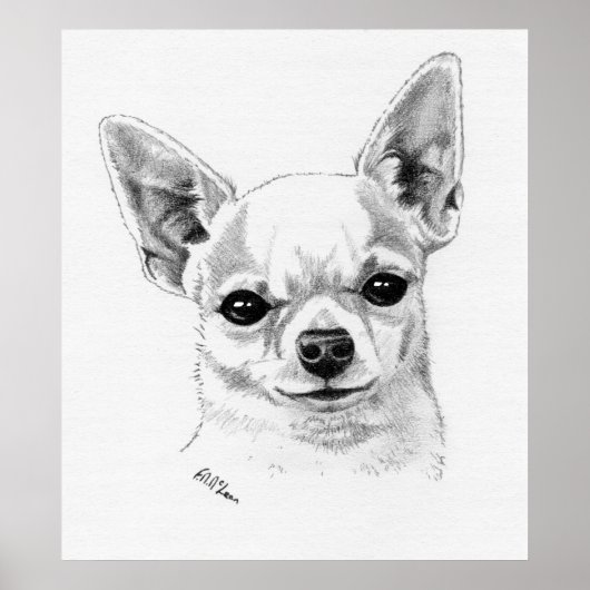 Smoothcoat Chihuahua Champion Poster (Voorkant)