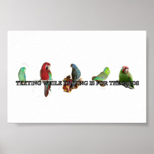 Sms'en tijdens het rijden van Poster