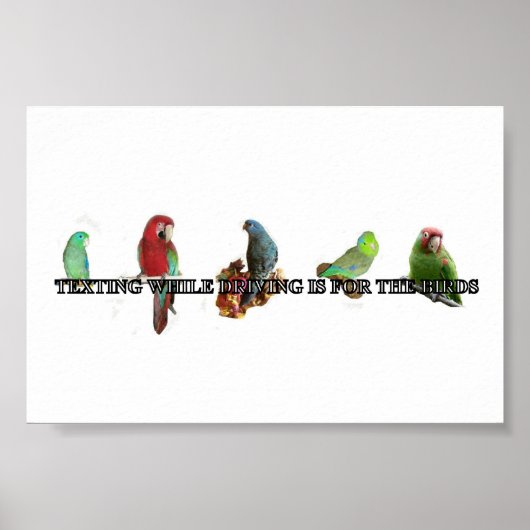 Sms'en tijdens het rijden van Poster (Voorkant)