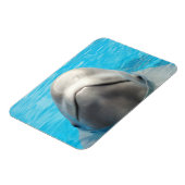 Smug Beluga Whale Magnet flexible (Côté Gauche)