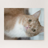 Smushie Puzzle (Horizontal)