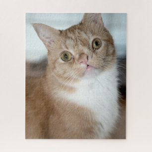 Smushie Puzzle Legpuzzel
