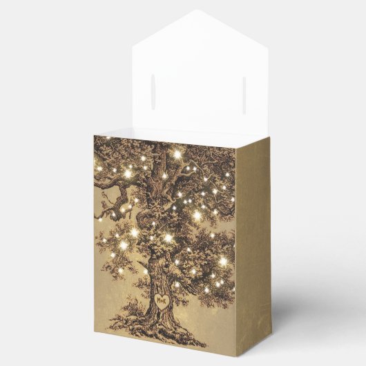 Snaar lichten boom oude rustieke bruiloft gunst do bedankdoosjes (Geopend)