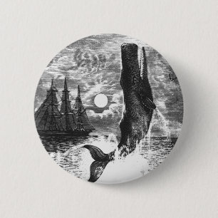 snaarwalvissen, zeedieren ronde button 5,7 cm