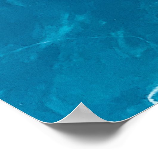 Snack Attack Shark – Summer Poster (Coin)