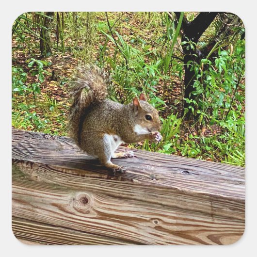 Snack Attack Vierkante Sticker (Voorkant)