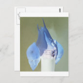 Snagelliefde Briefkaart (Voorkant / Achterkant)