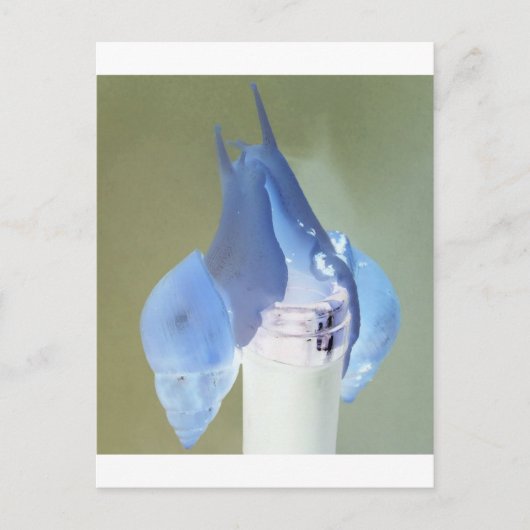 Snagelliefde Briefkaart (Voorkant)