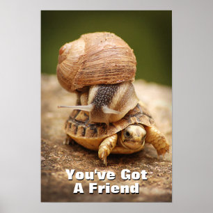 Snagelrog Baby Tortoise Poster