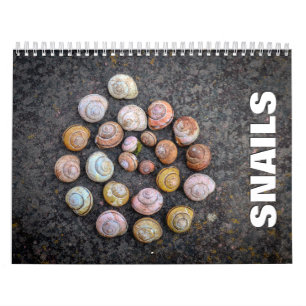 Snagels wandkalender kalender