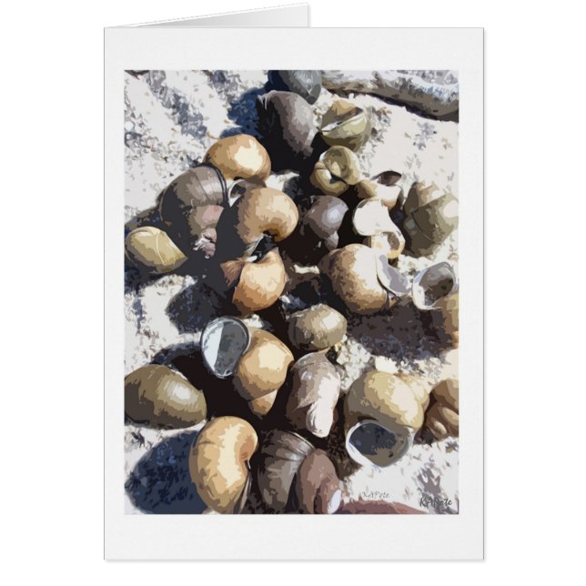 Snagelschalen (Voorkant)