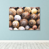 Snagelschalen Canvas Afdruk (Insitu (Houten vloer))