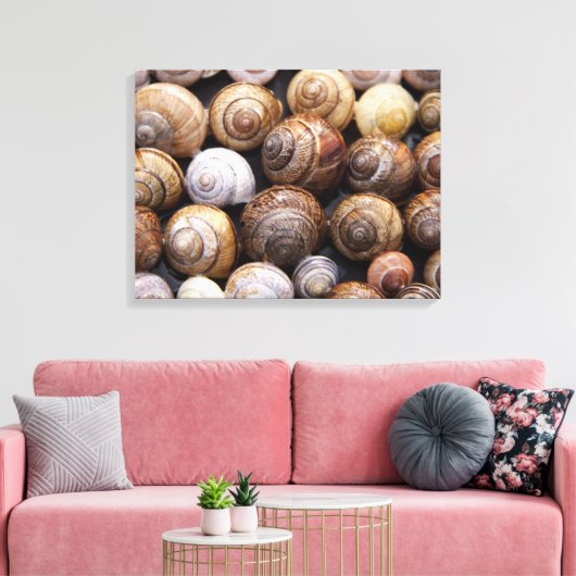 Snagelschalen Canvas Afdruk (Insitu (Woonkamer))