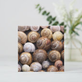 Snagelschalen Kaart (Staand voorkant)