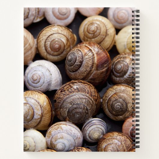 Snagelschalen Notitieboek (Achterkant)