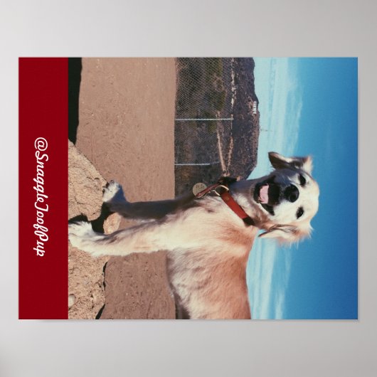 @SnaggleToofPup Poster (Voorkant)