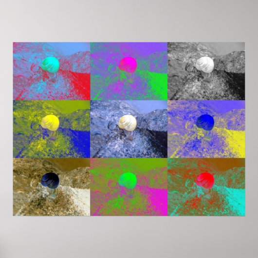 Snail Cepaea Pop Art Poster (Voorkant)
