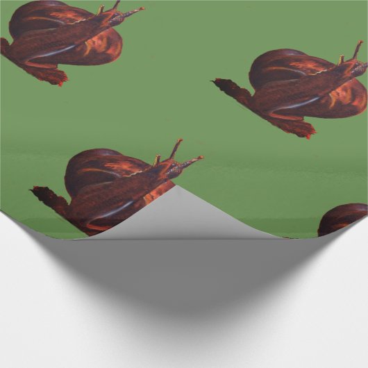 Snail Drawing Glossy Wrapping Paper Cadeaupapier (Hoek)