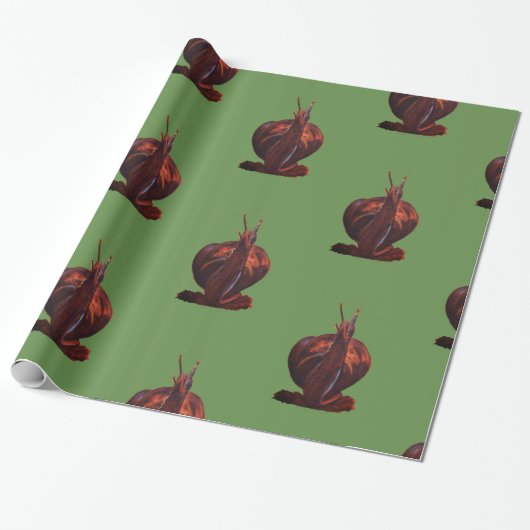 Snail Drawing Glossy Wrapping Paper Cadeaupapier (Uitgerold)