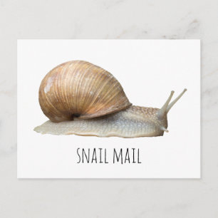 snail mail briefkaart