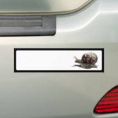 Snail Racer - Lucky #7 Bumpersticker (Op auto)