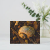 Snail Shell bij Rocky Shore Sunset Briefkaart (Staand voorkant)